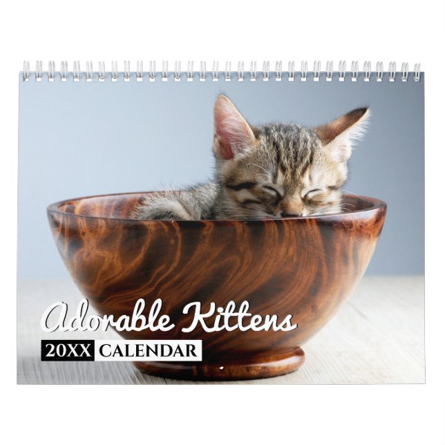 Adorable Kittens Photo Calendrier mural (Protection)