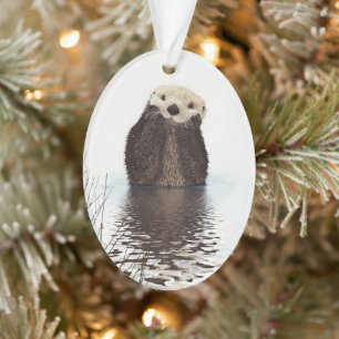 Adorable Otter souriant dans le lac