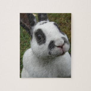 Adorable Puzzle Rabbit