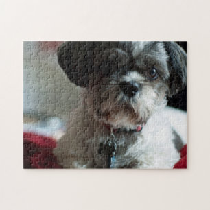 Adorable Puzzle Shih Tzu