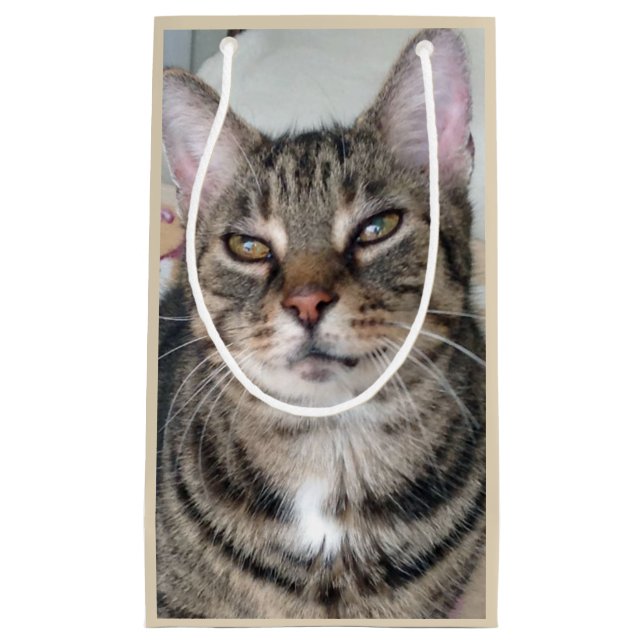 Adorable Tabby Chat Sac cadeau photo (Devant)