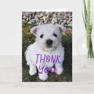 Adorable Westie Puppy Photo Carte de remerciements