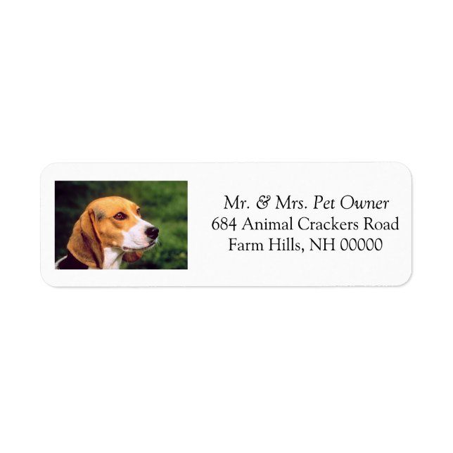 Adresse de retour Beagle mignon Stickers Étiquette (Devant)