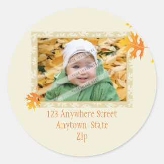 ADRESSE PHOTO STICKER :: mache feuilles 3A