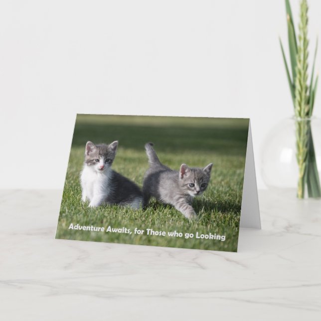 Adventure attend la carte de billet chaton (Devant)