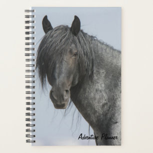 Adventure Planner avec Blue Zeus