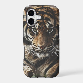 Affaire du Tigre