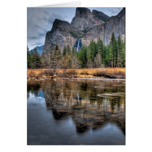 Affaire Yosemite (Devant)