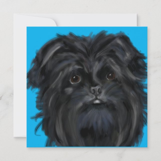 Affenpinscher (Devant)