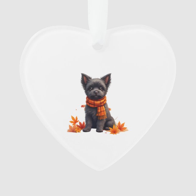 Affenpinscher avec un cœur fait de feuilles d'auto (devant)