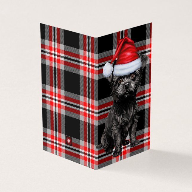 Affenpinscher Christmas Dog avec Holiday Plaid (Outside)