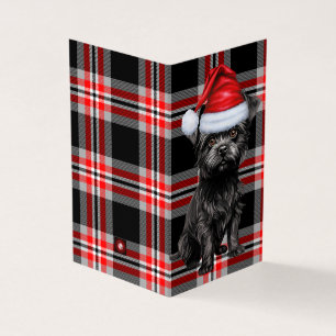 Affenpinscher Christmas Dog avec Holiday Plaid