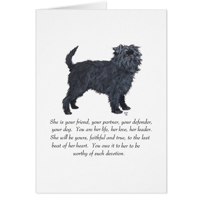 Affenpinscher Souvenir (Devant)