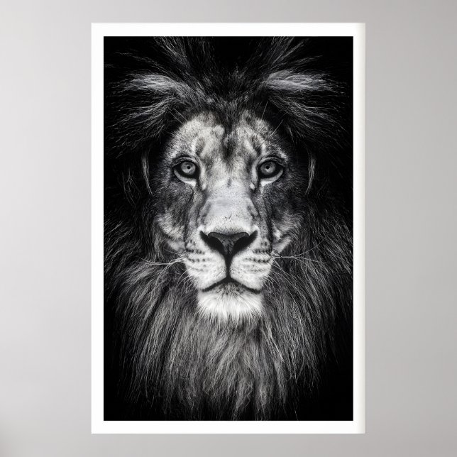 Affiche (Devant)