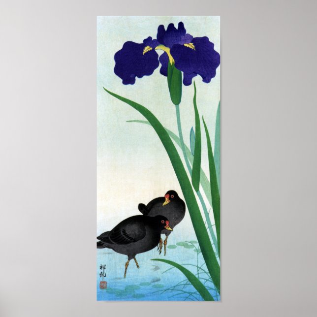 Affiche ク ナ ア ヤ approché, 邨 Moorhens et Iris, Ohara Koson (Devant)