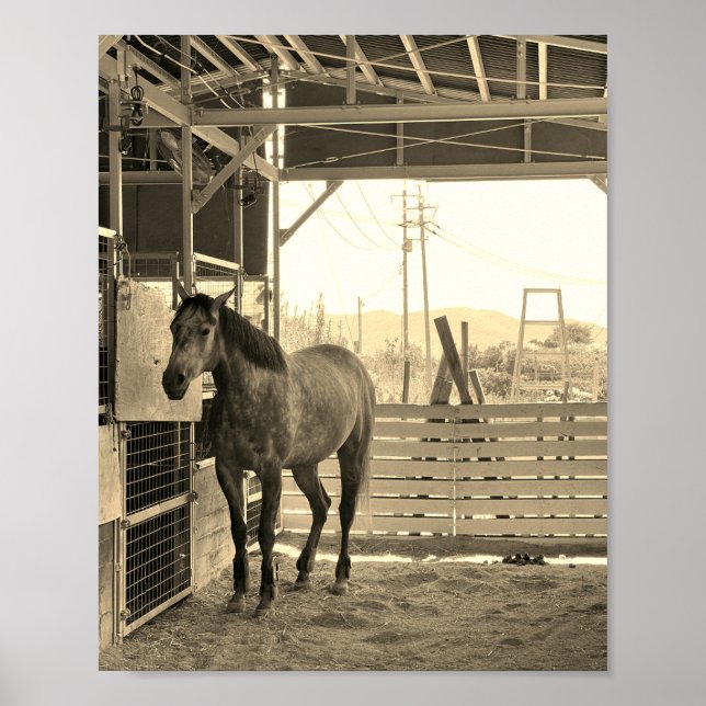 AFFICHE ケイメイ牧場　グラマーちゃん　まるで置き物 (Devant)