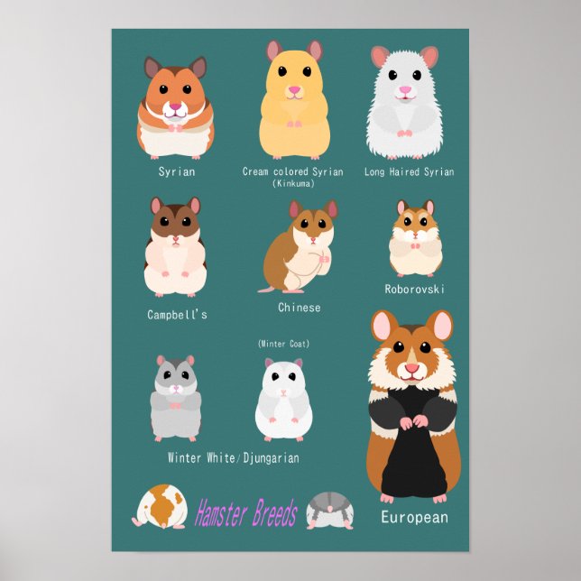 AFFICHE ム の ー タ 種 類 一