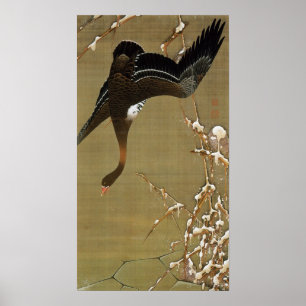 AFFICHE 動植綵絵(26)芦雁図, 伊藤若冲