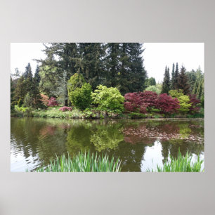 Affiche 夏 季 美 丽 的 植 物 , beau jardin botanique