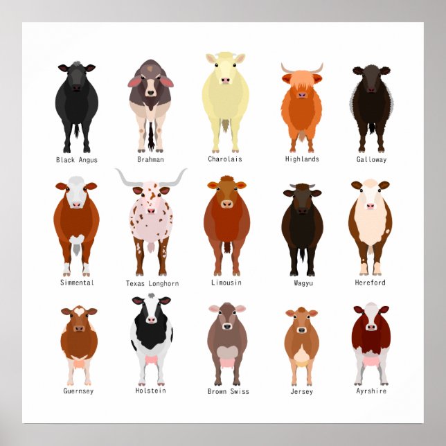 AFFICHE 牛 の 種 類 一 覧 (Devant)