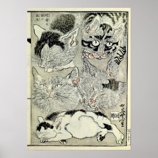 Affiche 猫, 暁 斎 Chats, Kyōsai, Ukiyo-e (Devant)