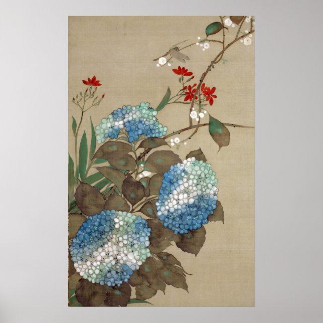 Affiche 紫 陽 花 と ン Hydrangea et Dragonfly, Hōitsu (Devant)