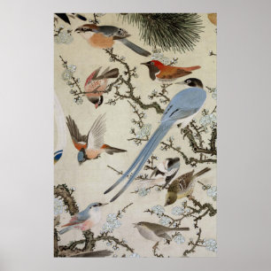 Affiche 群 鳥 図, 中 住 雲, Oiseaux (détail), Nakazumi Doun