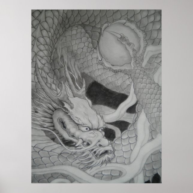 Affiche 龍　dragon　水墨画　降り白龍 (Devant)