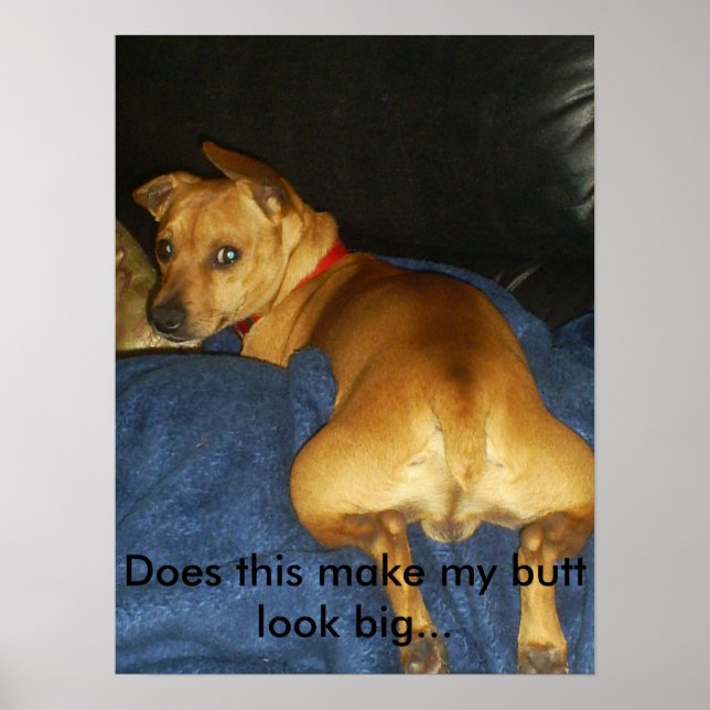 Affiche 042, Est-ce que ça fait que mon cul a l'air grand. (Devant)