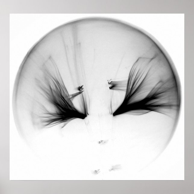 AFFICHE 10^23 #1 (Devant)