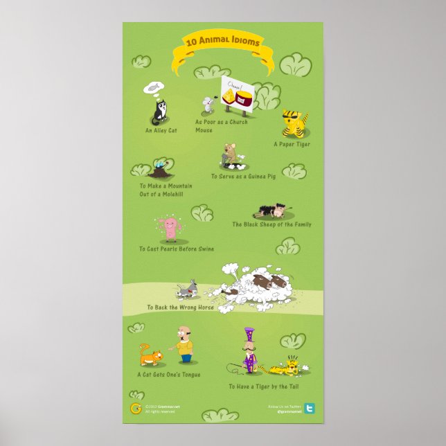 Affiche 10 Idioms animaux et leurs significations (Devant)