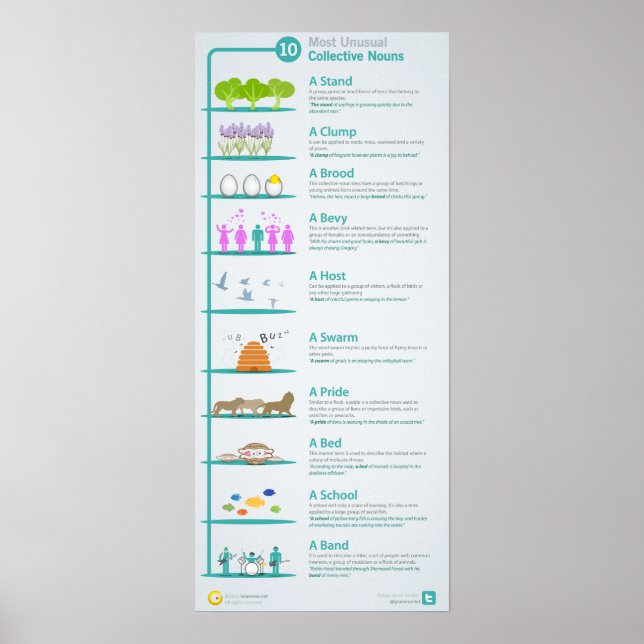 Affiche 10 noms collectifs les plus inhabituels révélés et (Devant)