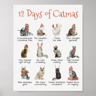 Affiche 12 jours de Noël Catmas