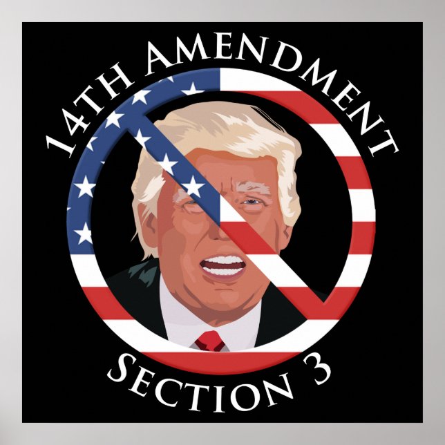 Affiche 14e amendement anti-Trump (Devant)