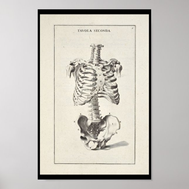 Affiche 1691 Anatomie artistique Squelette d'art Imprimer (Devant)