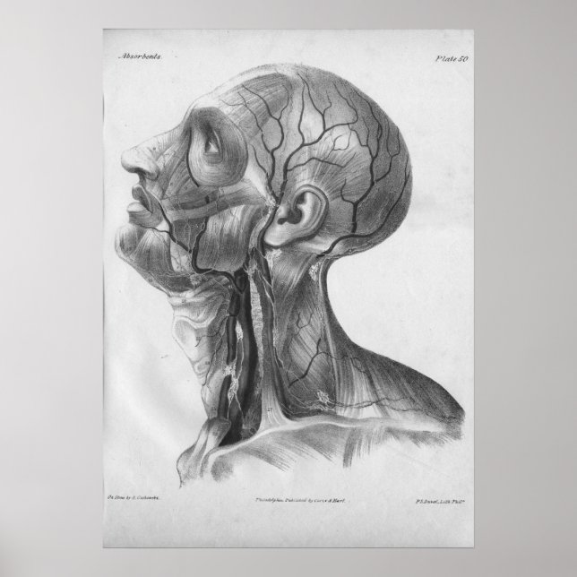 Affiche 1854 Vintage Head and Neck Anatomy Print (Devant)