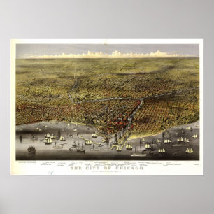 Affiche 1874 Chicago, IL Oiseaux Vue panoramique