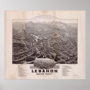 Affiche 1884 Liban, NH Oiseaux Vue panoramique Carte