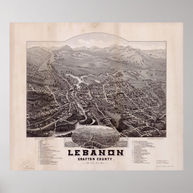 Affiche 1884 Liban, NH Oiseaux Vue panoramique Carte (Devant)