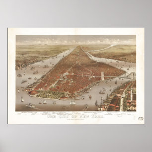 Affiche 1884 New York City NY Oiseaux Vue panoramique