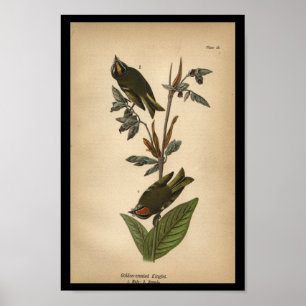 Affiche 1890 Oiseau Imprimer Couronne dorée