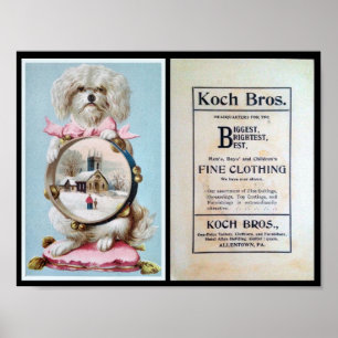 Affiche 1898, Clothiers, Chien, Publicité, Vintage