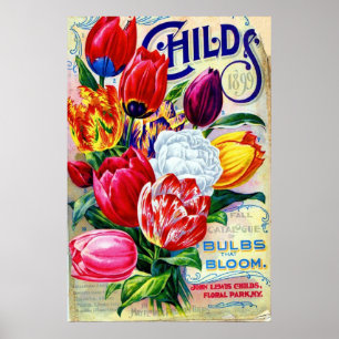 Affiche 1899 John Lewis Childs Horticulture Florale Vintag