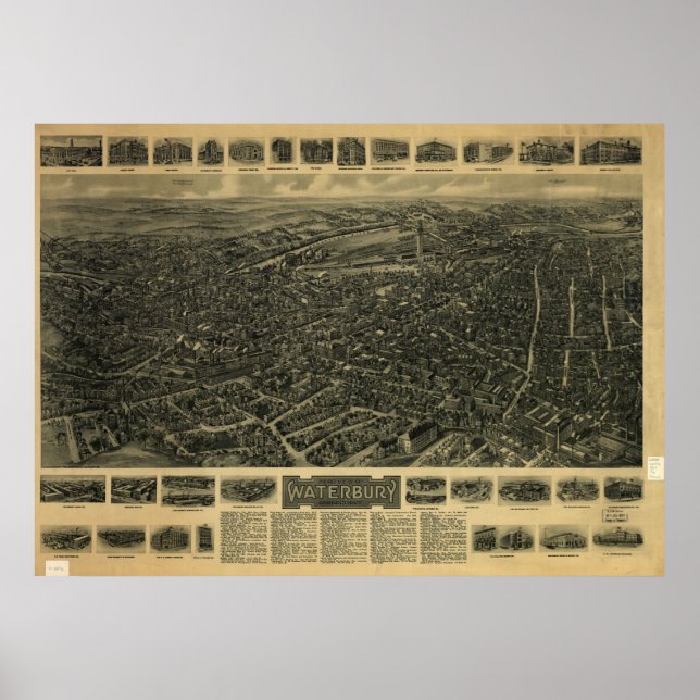 Affiche 1917 Waterbury CT Oiseaux Vue panoramique Carte (Devant)