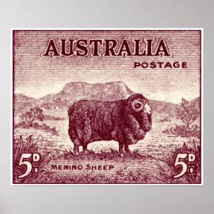 Affiche 1934 moutons de Merino d'Australien