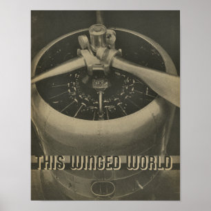 Affiche 1938 Aviation Airplane Engine Magazine Art Print