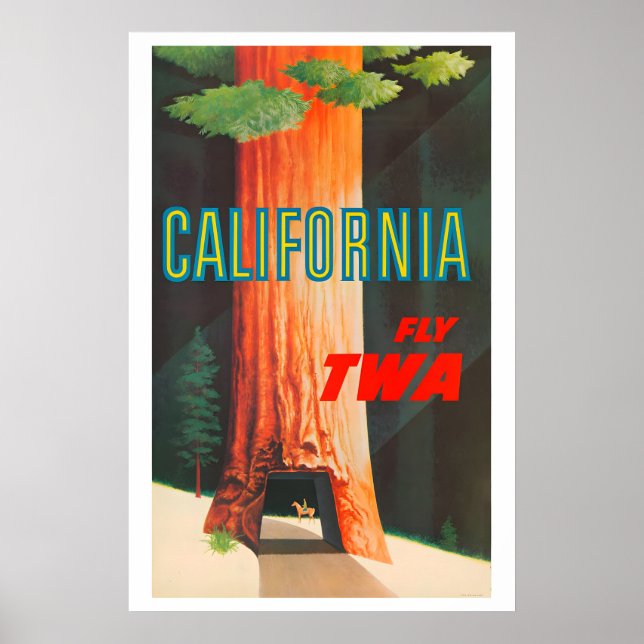 Affiche 1950s TWA California Redwoods Drive Thru Tree (Devant)