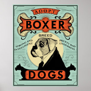 Affiche 1 de boxeur