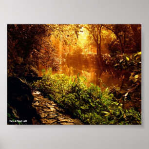 Affiche 1 - Nature
