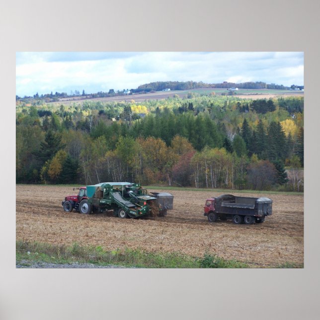 Affiche 2009_Maine_Autumn_169 (Devant)